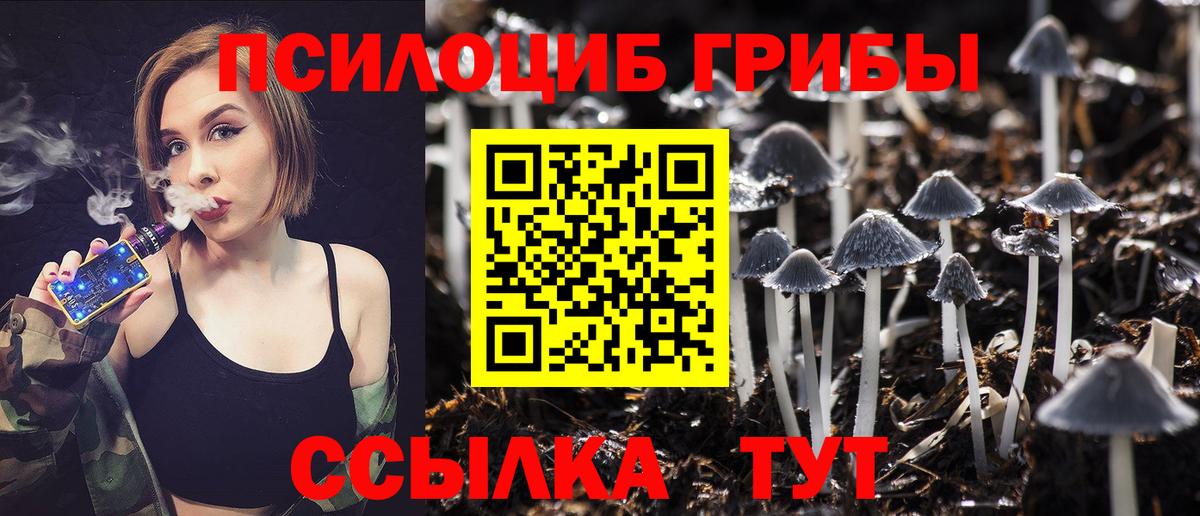Псилоцибиновые грибы Psilocybe Малгобек